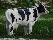 dierenbeelden kunststof