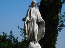 images/productimages/small/beeld.maria.madonna.st.p.71233.jpg