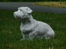 images/productimages/small/hond.m.steen.hk523.jpg
