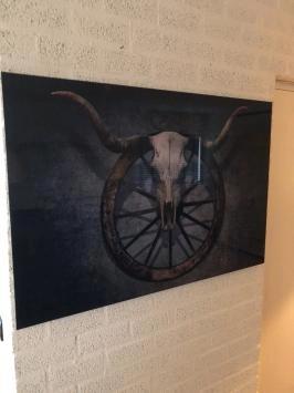 Wanddekoration Kunst auf Glas, volle Farbe SKULL