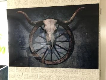 Wanddekoration Kunst auf Glas, volle Farbe SKULL