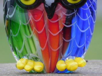 Glasdekor Bild einer Eule, Tierbild