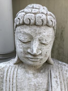 Japanse Boeddha, vol steen