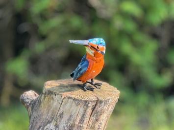 Einzigartiger Eisvogel, Eisenskulptur, afrikanische Kunst