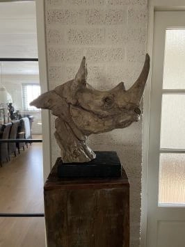 Kop van een neushoorn, fraai in detail, polystone woodlook