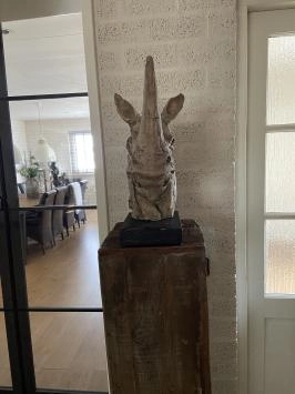 Kop van een neushoorn, fraai in detail, polystone woodlook