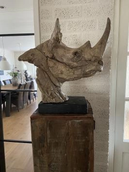 Kop van een neushoorn, fraai in detail, polystone woodlook