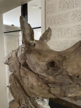 Kop van een neushoorn, fraai in detail, polystone woodlook
