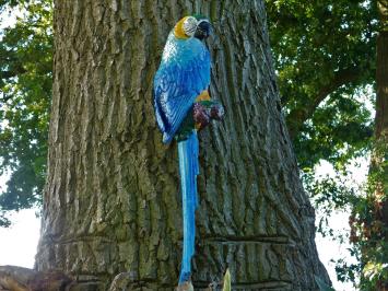 Papageienstatue, Wanddekoration, große Gartenstatue, bunt