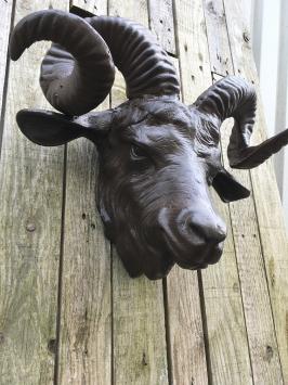 Wanddekoration aus Metall - Widderkopf - schwer - braun