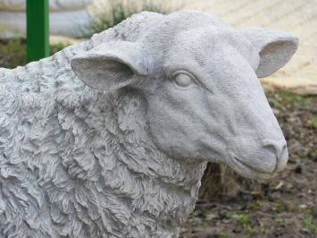 Beeld Schaap XL - vol steen