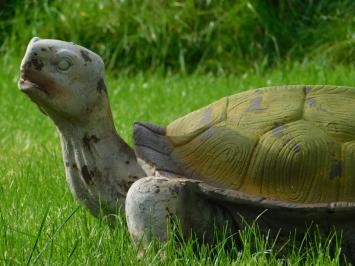 Beeld Schildpad XL - Polystone - Vintage Look