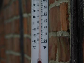 Thermometer met Franse lelie - gietijzer - weerbestendig