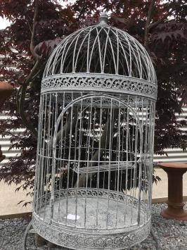 Dekorativer Vogelkäfig aus Eisen